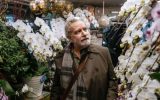۴۵ فیلم تا به این لحظه به آکادمی اسکار ۲۰۲۵ معرفی شد / ایسلند با کورماکور و الجزایر با «الجزیره»
